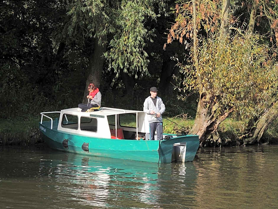 de Brabantse Biesbosch