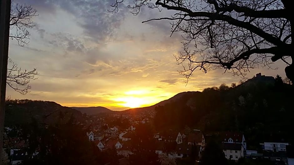 Pension Bergterrasse