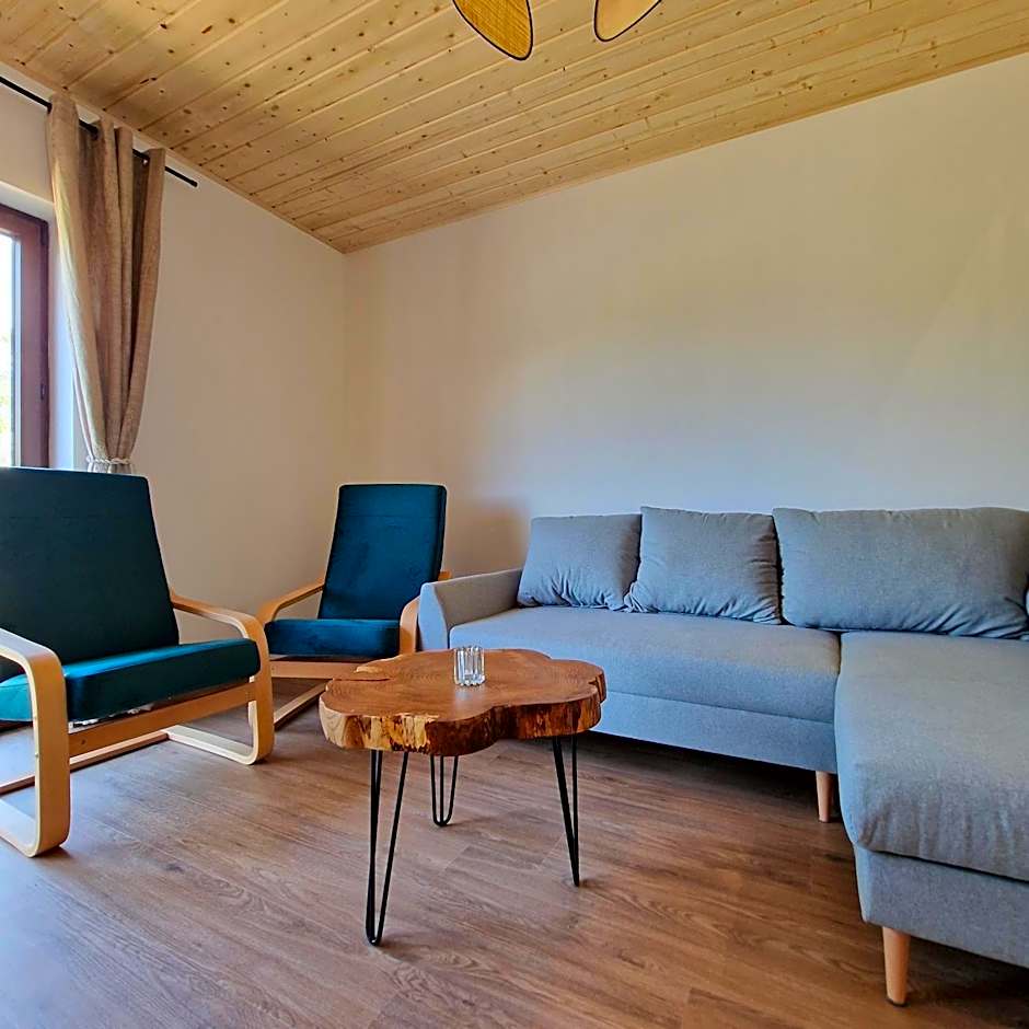 Przystań nad Sanem z widokiem na góry i rzekę