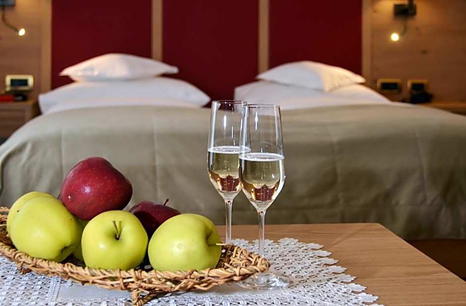 Hotel Gran Paradis