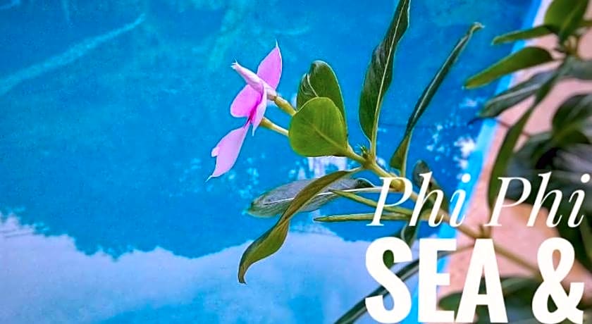 Phi Phi Sea and Hill