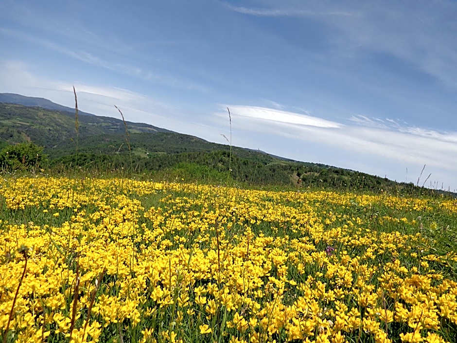 Hotel Manastir Berovo