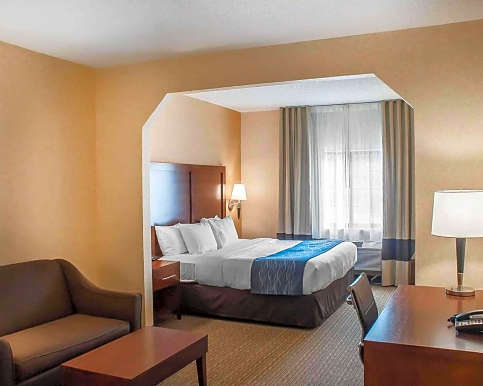 Comfort Inn & Suites Hamburg