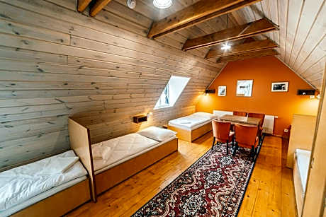 Single Bed in Mixed Dormitory Room