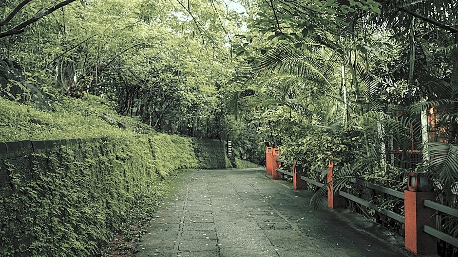 Wayanad Silver Woods Hotel