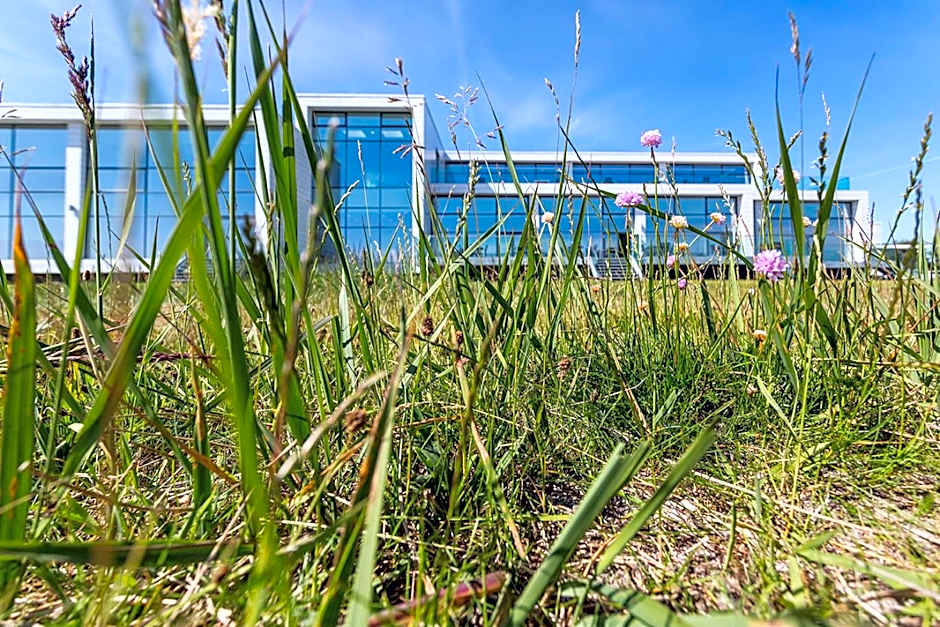 Storebælt Sinatur Hotel & Konference