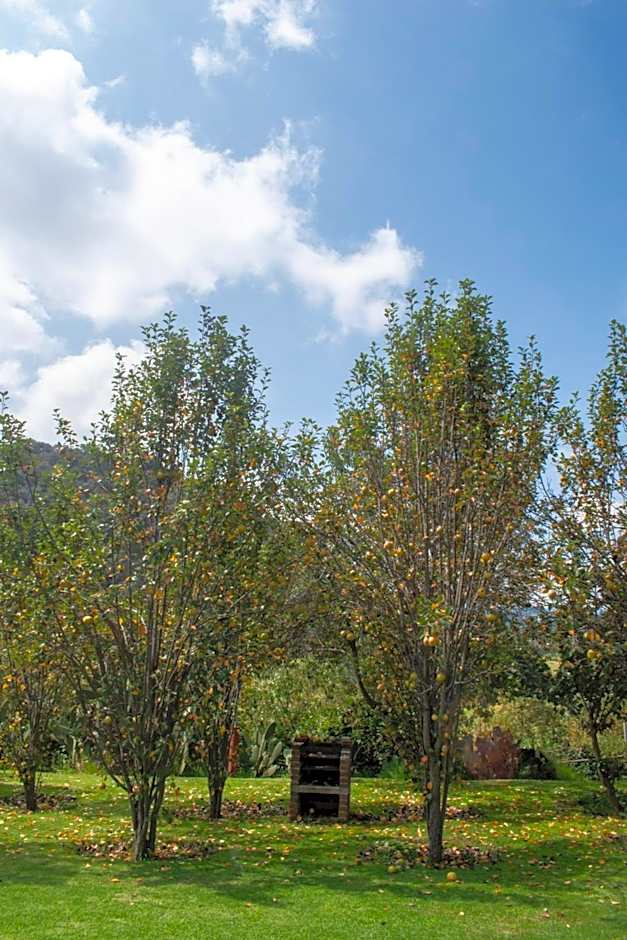 Finca Marix, Villa del Carbón