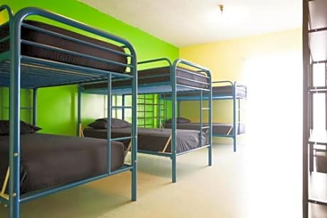 Bed in 6-Bed Mixed Dormitory Room