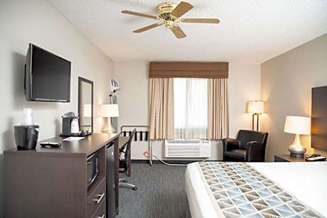 King Room - Non-Smoking