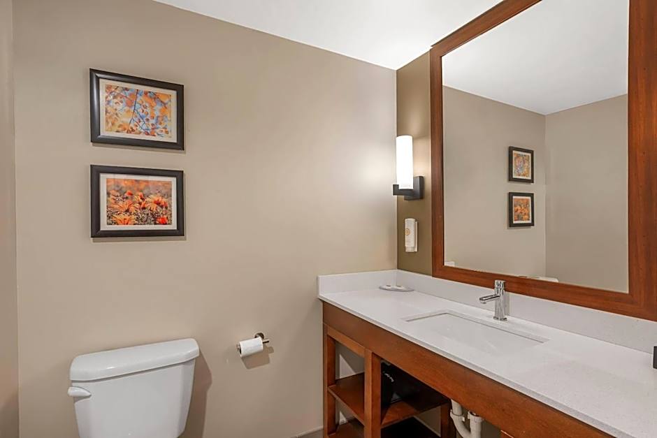 Comfort Inn & Suites Gap Amish Country