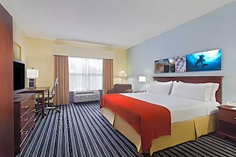 1 King Bed 1 Bedroom Suite With Living Area