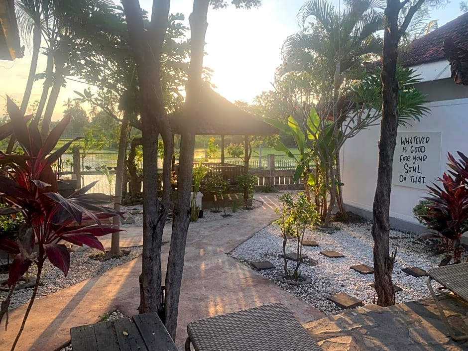 Lovina Vibes Hotel
