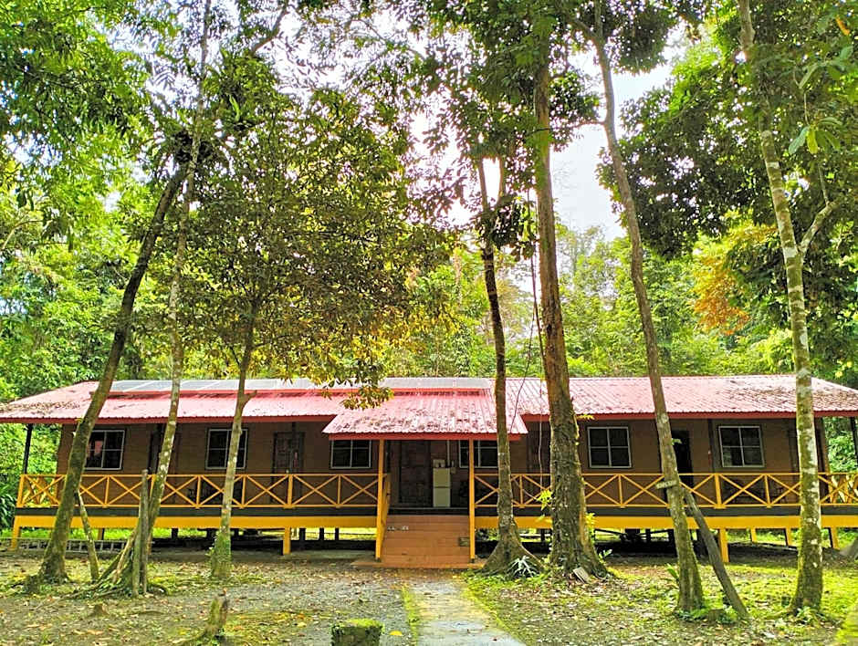 Borneo Jungle Adventure