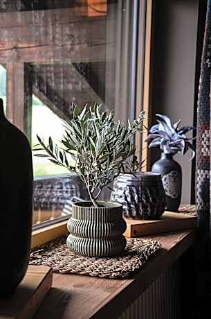 Superior Double or Twin Room with Mountain View