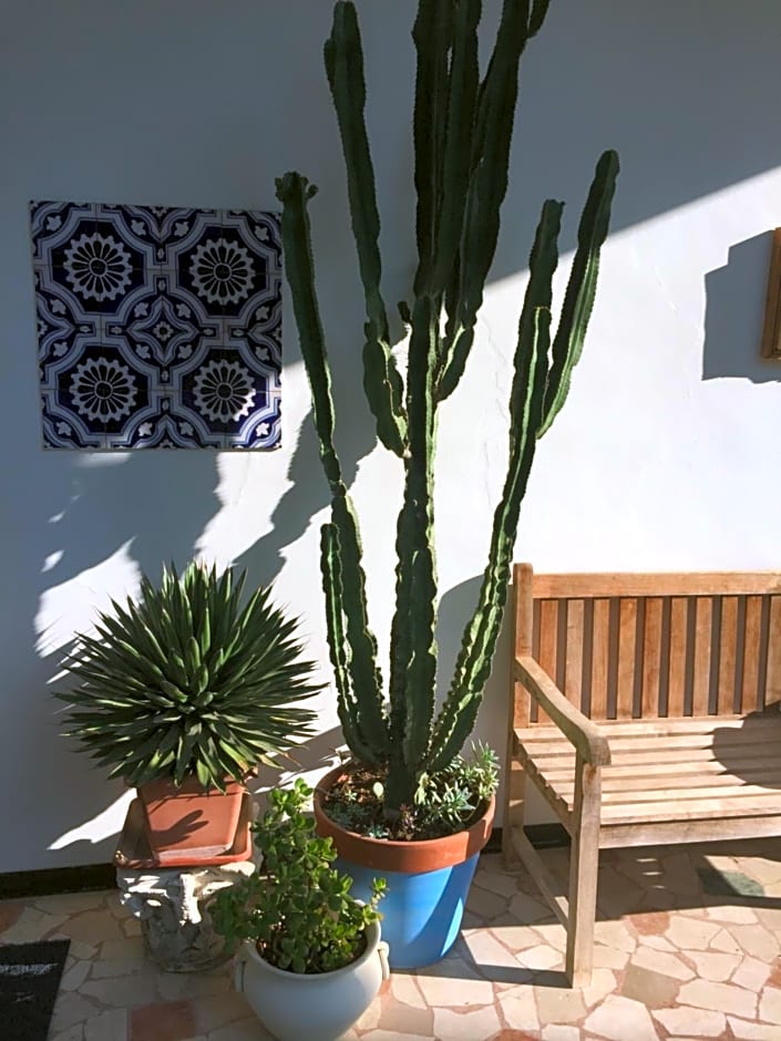 B&B La Villa Mediterranea