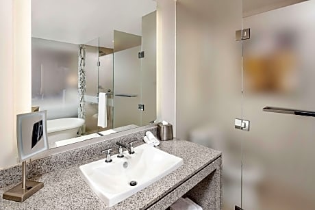 1 Bedroom King Suite Plus With Sofabed