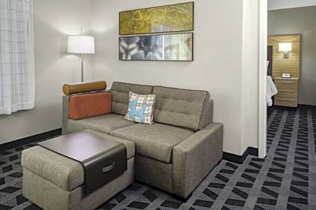 Suite, 1 Bedroom (1 Queen Bed and 1 Double Sofa Bed)