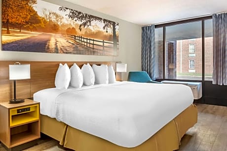 1 King Bed Non-Smoking