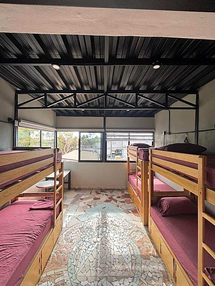 Canova Hostel & Pizza