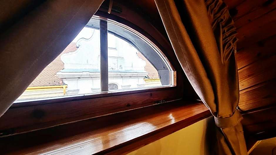 Downtown Apartments with shared kitchen