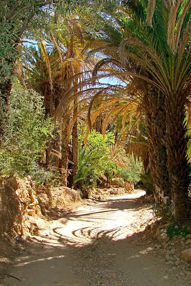 Tizourgane Kasbah