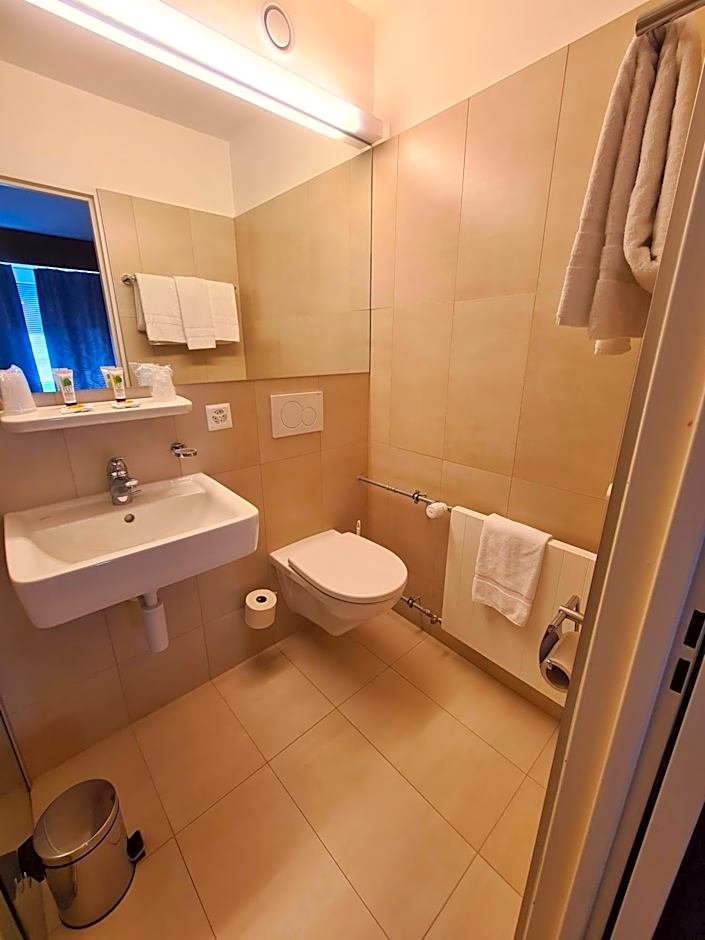 Hôtel de la Poste Martigny - City Center