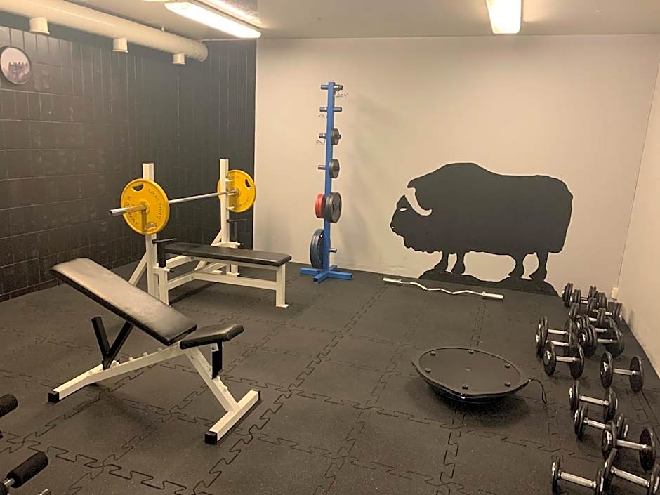 Basecamp Frich`s Hjerkinn