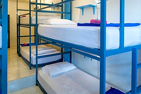 Bunk Bed in Mixed Dormitory Room