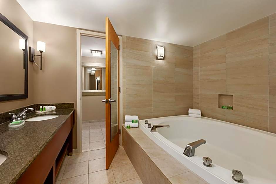 Holiday Inn Washington-Dulles International Airport By IHG