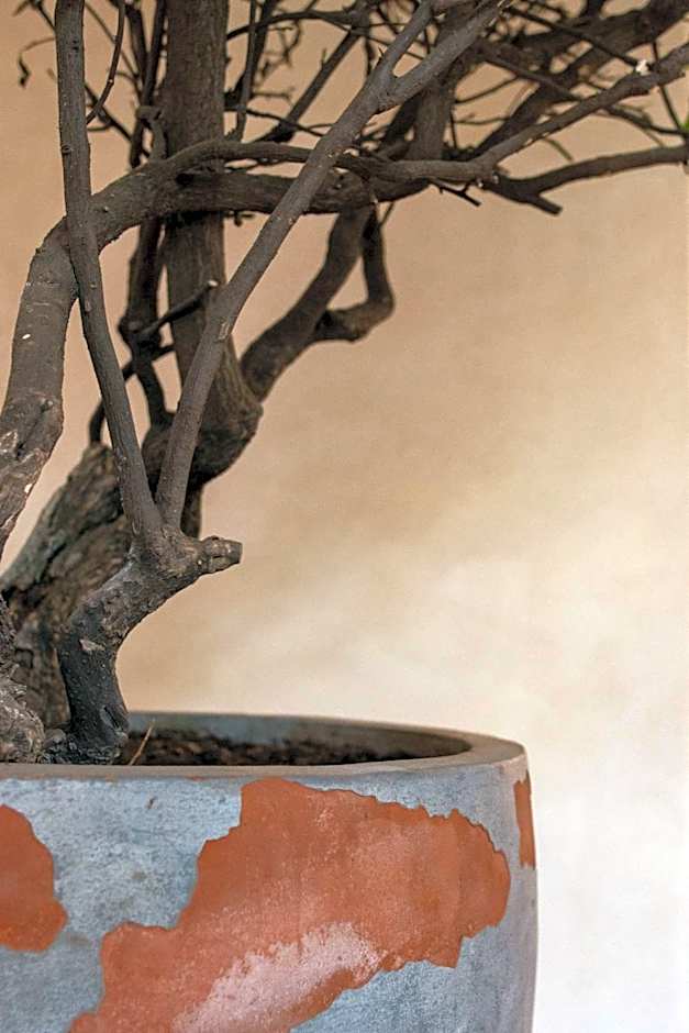 Taller de Juan - Casa Hotel