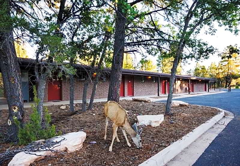Yavapai Lodge