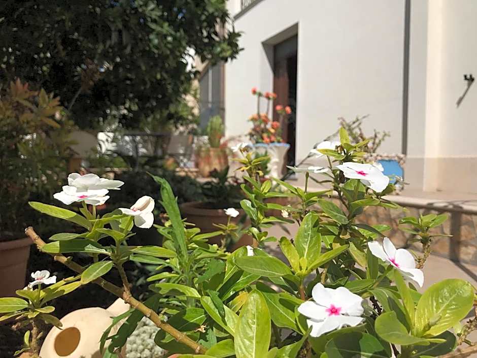 El Nur Bed & Breakfast