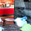 Ibis Los Mochis