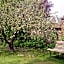 Bed & Breakfast Appeltern