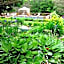 Horton Creek Inn B&B