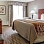 Comfort Inn & Suites University South