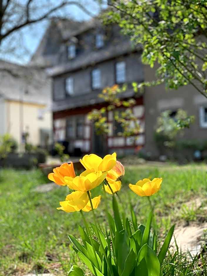 Altes Zehnthaus Geierlay