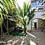 Palmas de Chahue
