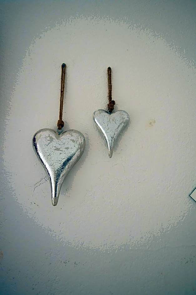 Gjaid-Alm 1739m am Dachstein-Only Accessible by Cable Car