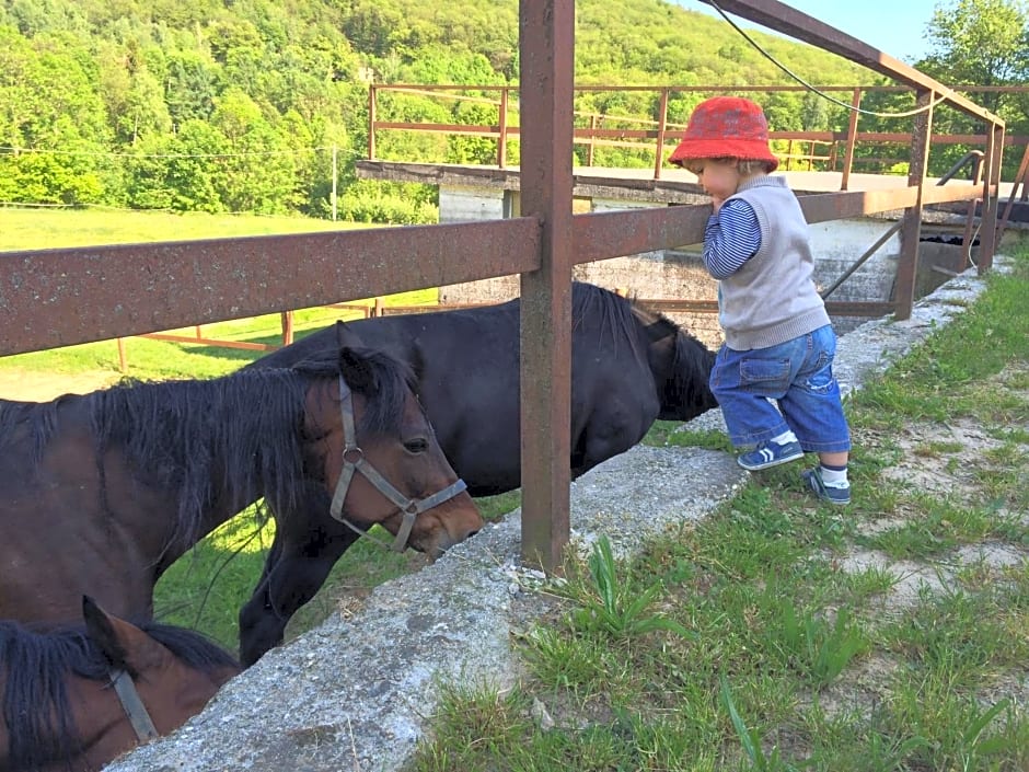 Favetto Family Ranch