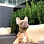 Wingate by Wyndham Bronx/Haven Park