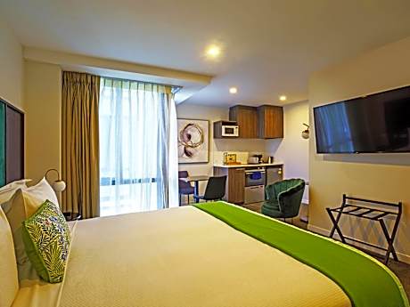 Studio with One King Bed