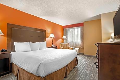 King Room
