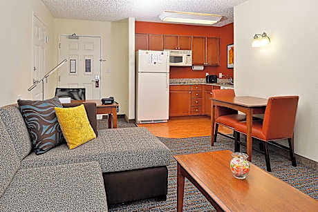 Studio Suite, 1 King Bed with Sofa bed (Mobility/Hearing Access, Transf Shwr)