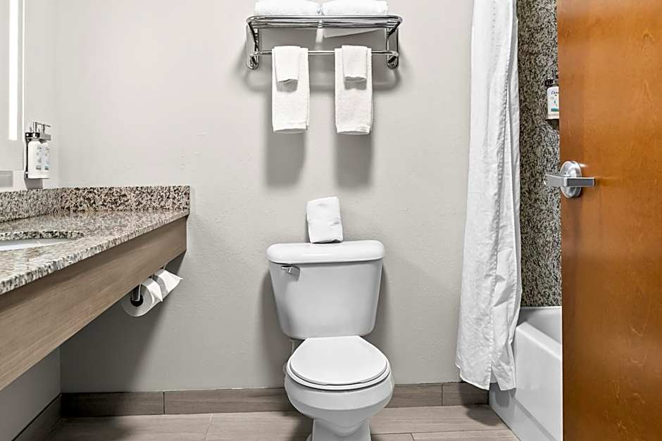 Holiday Inn Express & Suites Detroit Northwest - Livonia By IHG