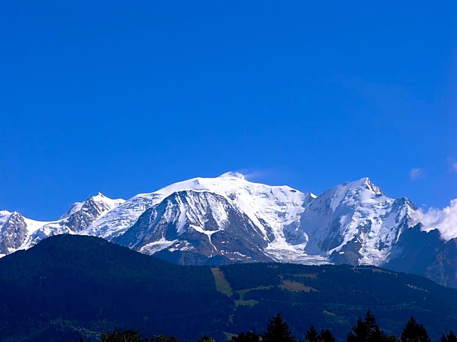 Best Western Plus Pays du Mont Blanc