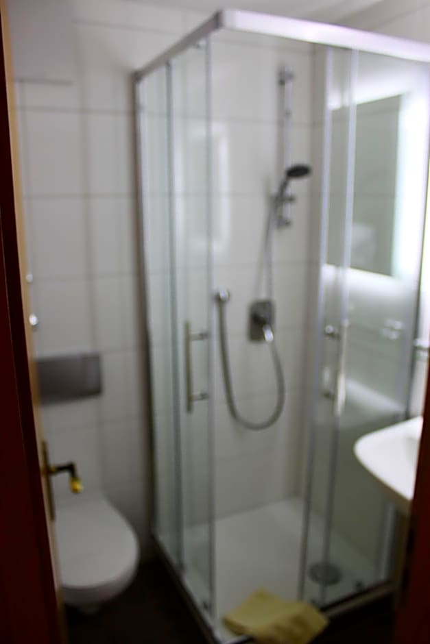Hotel Hochdorfer Hirschen