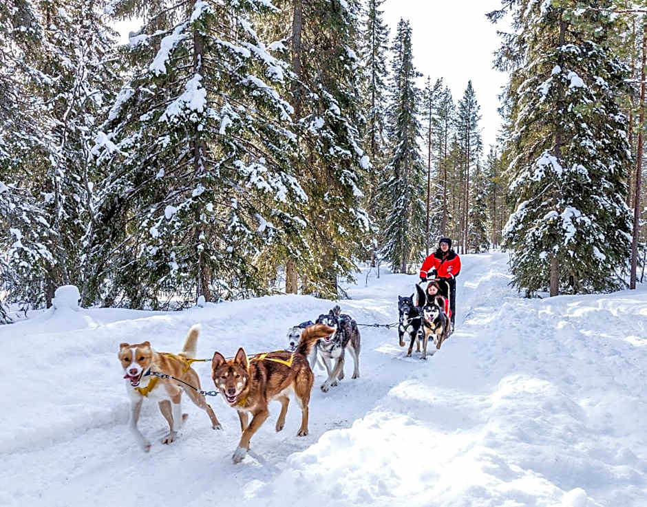 Lapland Hotels Bear´s Lodge