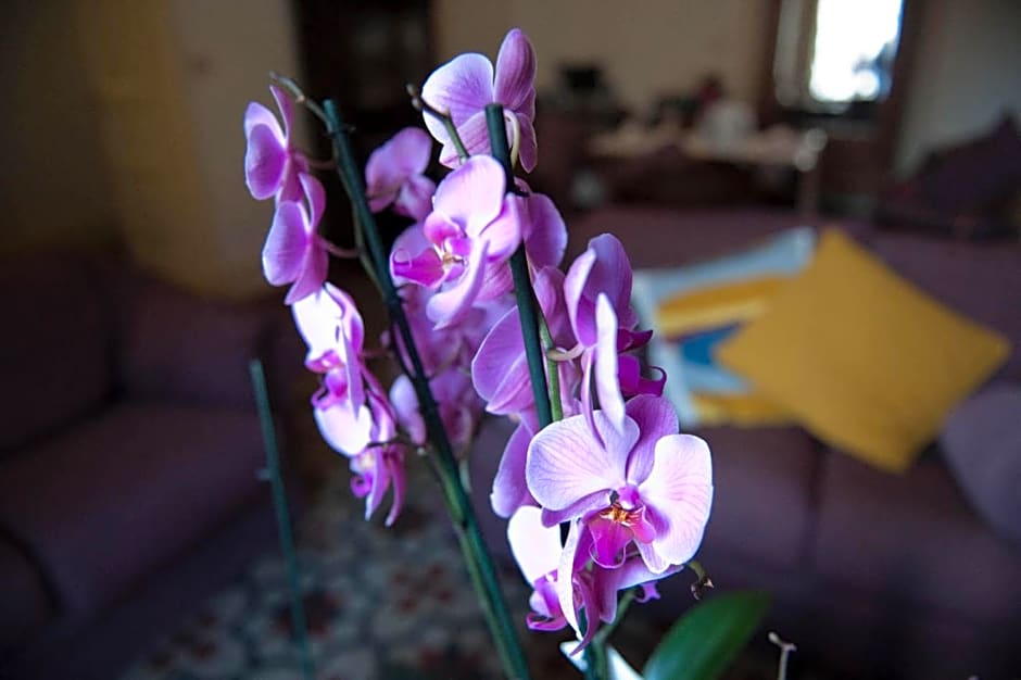Ivana B&B