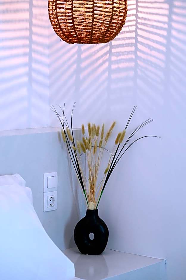Beachfront cycladic suite Irene Apartments boutique hotel